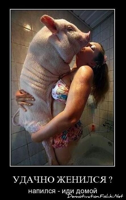 Смешной демотиватор от zubrilov за 10.11.2010 №60769
