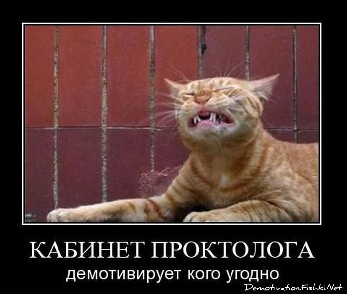 Смешной демотиватор от zubrilov за 12.11.2010 №60809