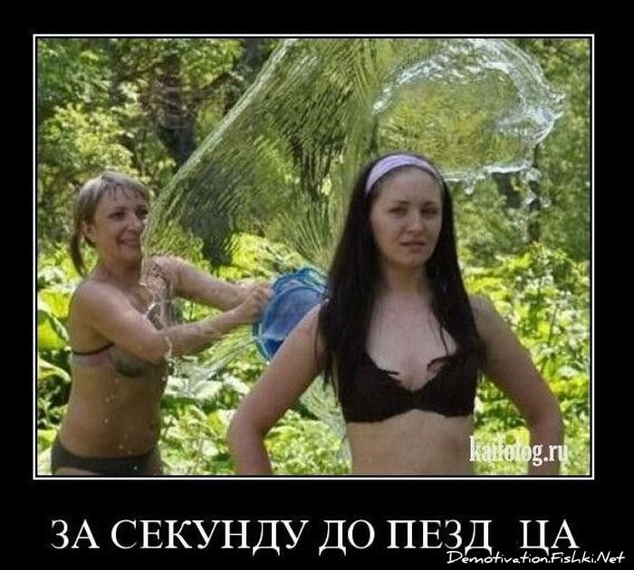 Смешной демотиватор от zubrilov за 12.11.2010 №60814