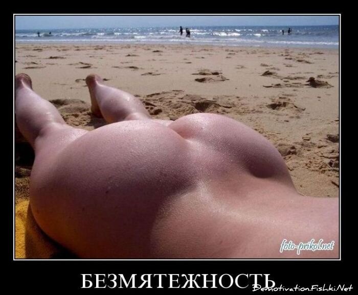 Смешной демотиватор от zubrilov за 12.11.2010 №60818