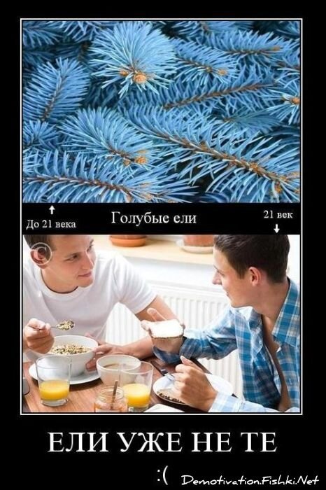 Смешной демотиватор от zubrilov за 12.11.2010 №60819