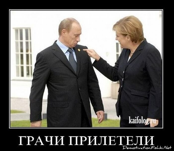 Смешной демотиватор от zubrilov за 12.11.2010 №60827