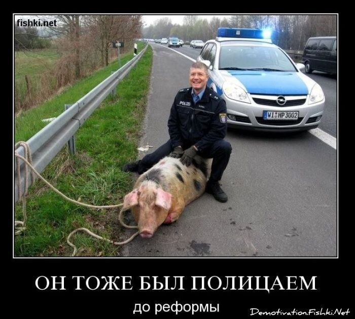 Смешной демотиватор от zubrilov за 12.11.2010 №60834