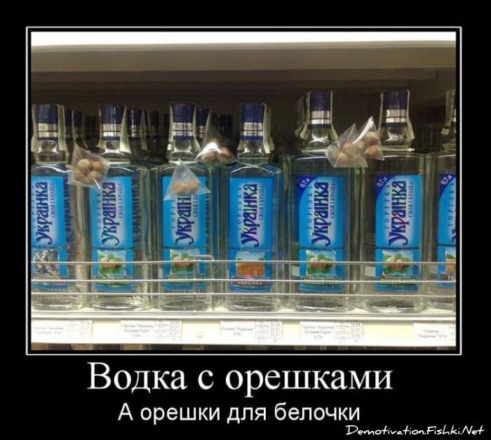 Смешной демотиватор от zubrilov за 12.11.2010 №60840