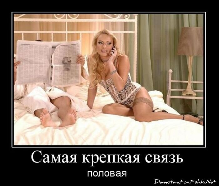 Смешной демотиватор от zubrilov за 12.11.2010 №60842