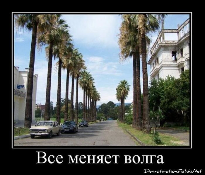 Смешной демотиватор от zubrilov за 12.11.2010 №60843