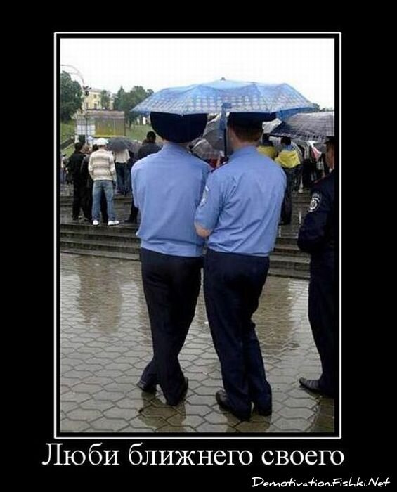 Смешной демотиватор от zubrilov за 12.11.2010 №60847