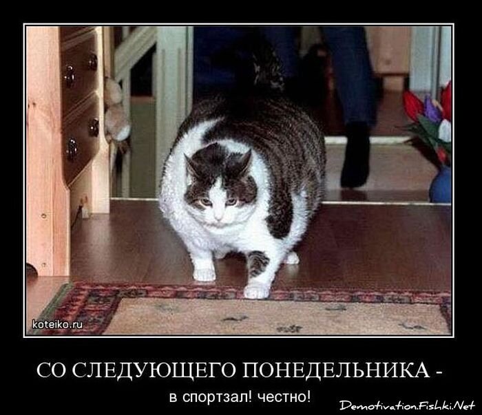 Смешной демотиватор от zubrilov за 12.11.2010 №60856