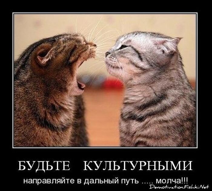 Смешной демотиватор от zubrilov за 12.11.2010 №60858
