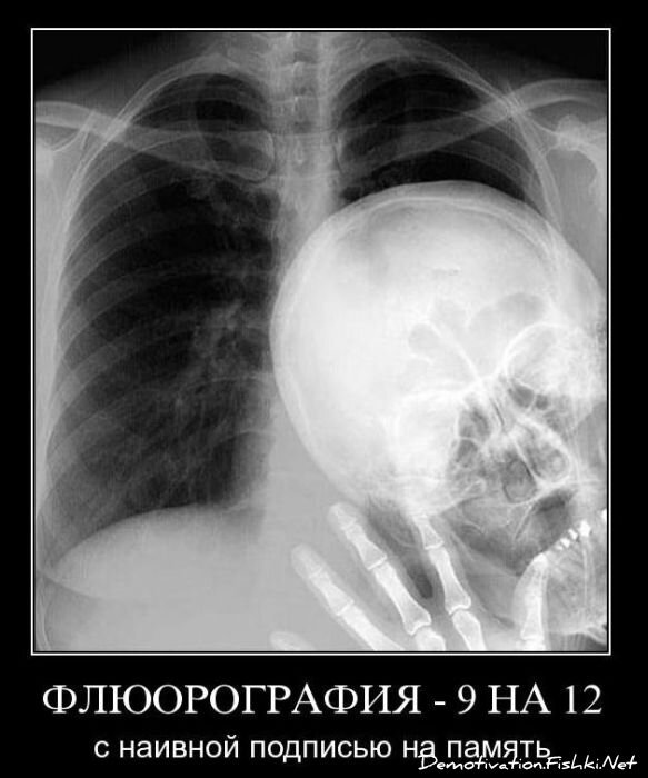 Смешной демотиватор от zubrilov за 12.11.2010 №60867