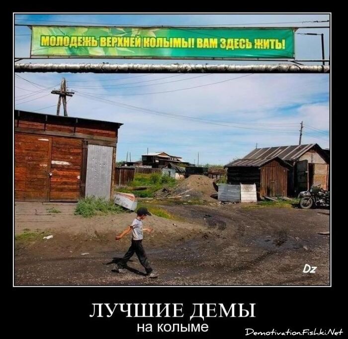 Смешной демотиватор от zubrilov за 12.11.2010 №60871