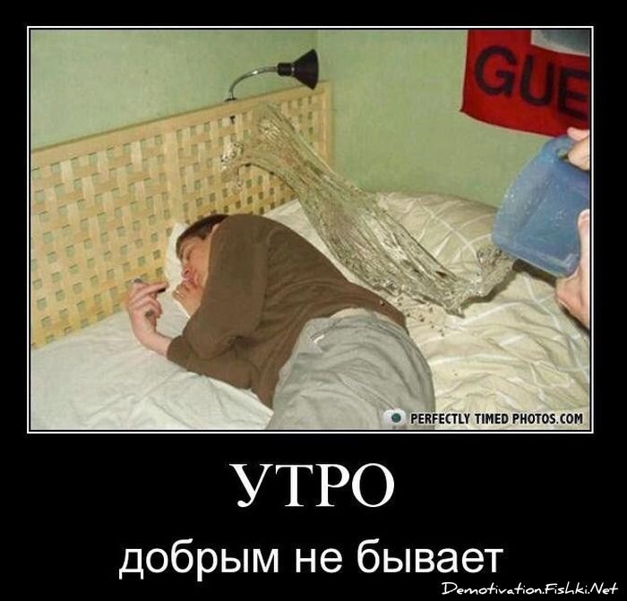 Смешной демотиватор от zubrilov за 12.11.2010 №60874