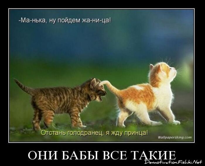 Смешной демотиватор от zubrilov за 12.11.2010 №60900