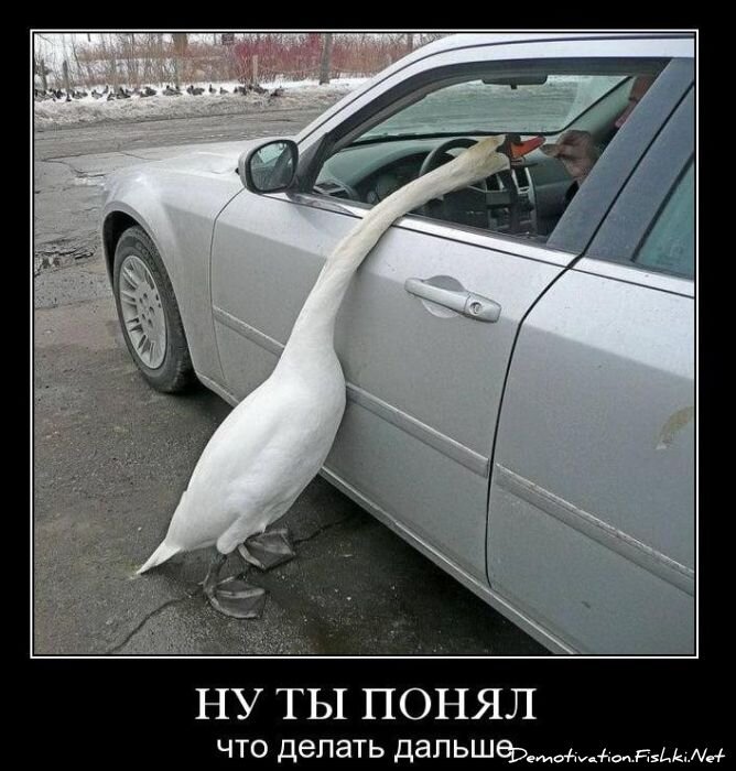 Подборка демотиваторов (149 фото)