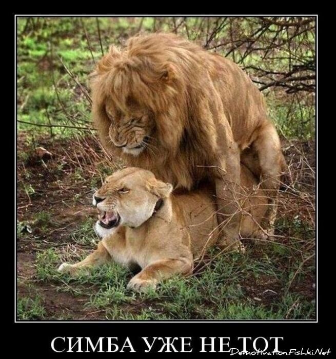 Подборка демотиваторов (149 фото)