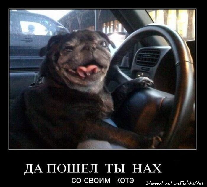 Подборка демотиваторов (149 фото)