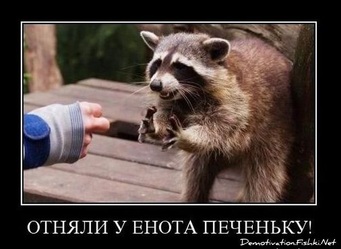 Смешной демотиватор от zubrilov за 17.11.2010 №61003