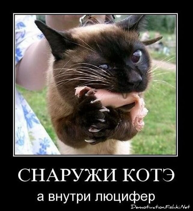 Подборка демотиваторов (149 фото)