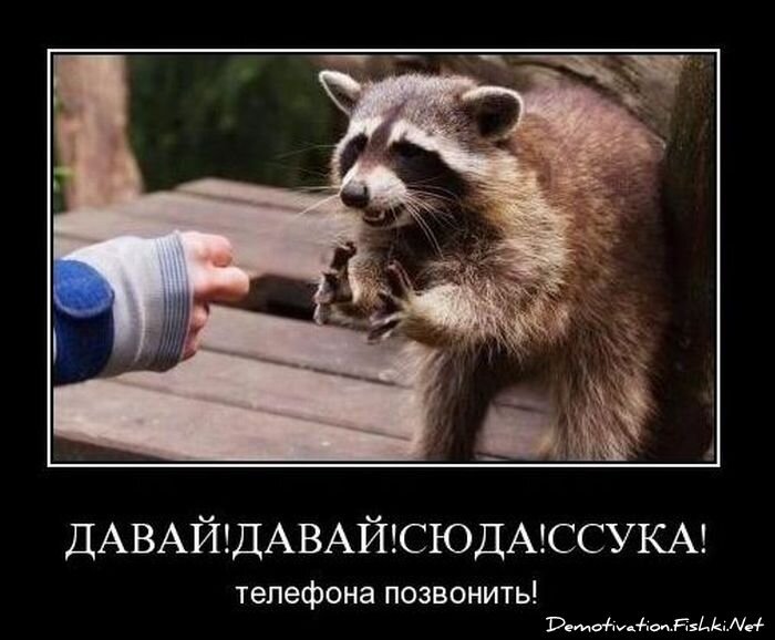 Подборка демотиваторов (149 фото)