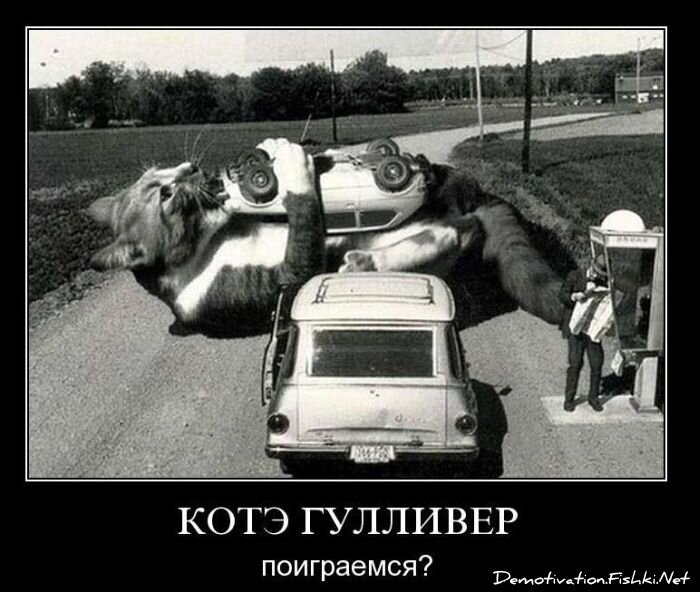 Подборка демотиваторов (149 фото)