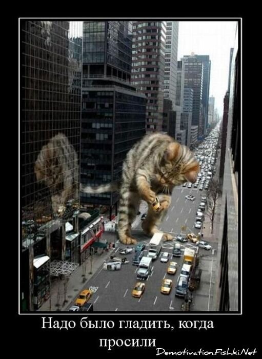Смешной демотиватор от zubrilov за 17.11.2010 №61033