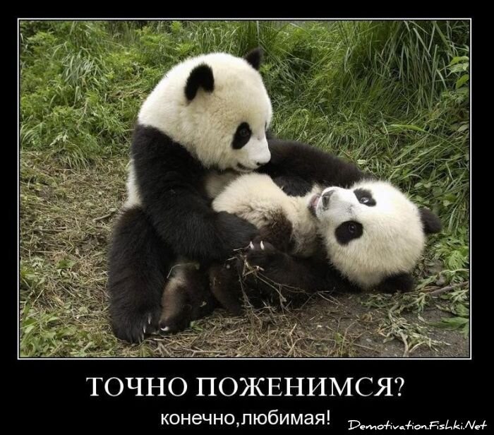 Смешной демотиватор от zubrilov за 17.11.2010 №61039