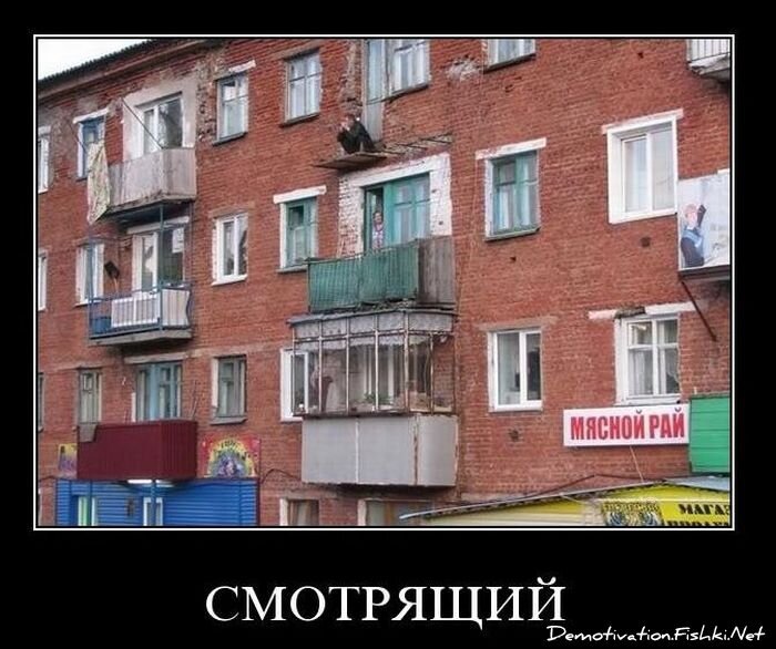 Смешной демотиватор от zubrilov за 17.11.2010 №61042