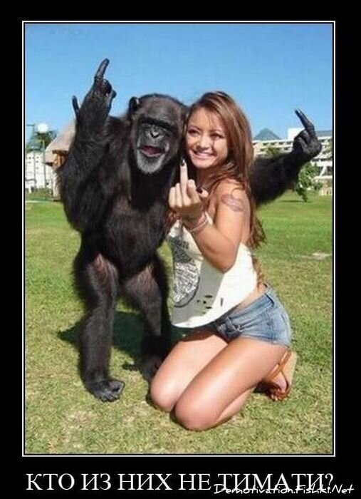 Смешной демотиватор от zubrilov за 17.11.2010 №61048