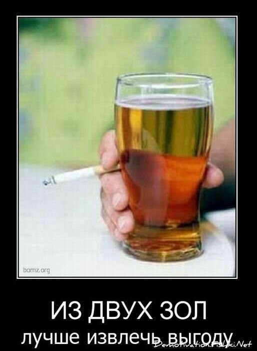 Смешной демотиватор от zubrilov за 17.11.2010 №61071