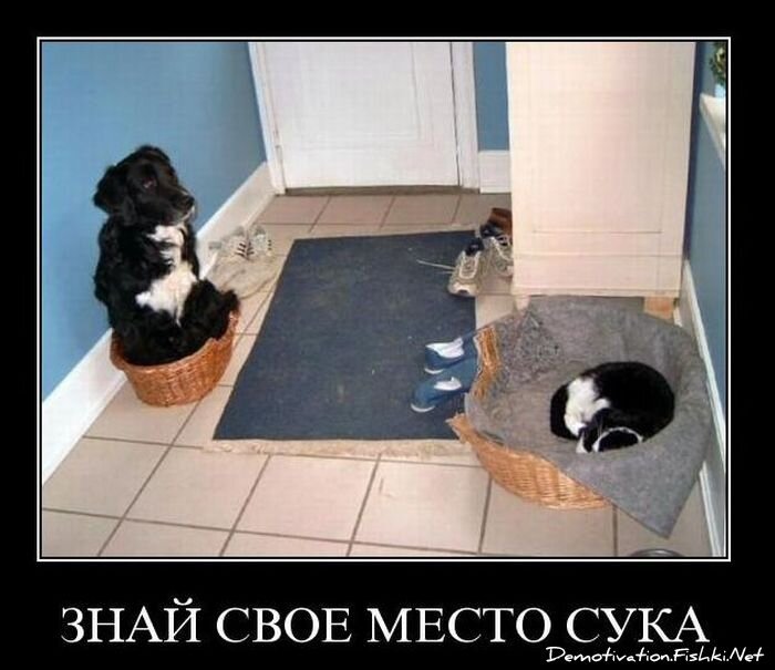 Смешной демотиватор от zubrilov за 17.11.2010 №61076