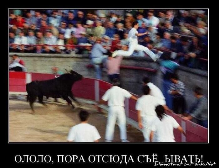 Смешной демотиватор от zubrilov за 17.11.2010 №61083