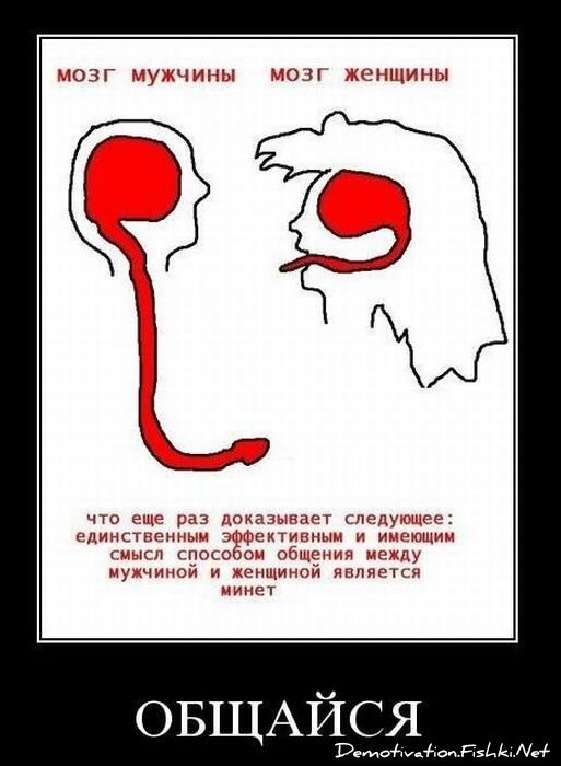 Смешной демотиватор от zubrilov за 17.11.2010 №61091