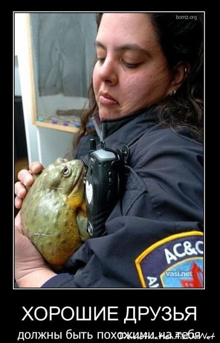 Смешной демотиватор от zubrilov за 17.11.2010 №61097