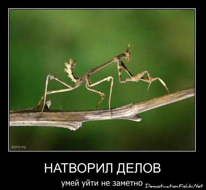 Смешной демотиватор от zubrilov за 17.11.2010 №61103