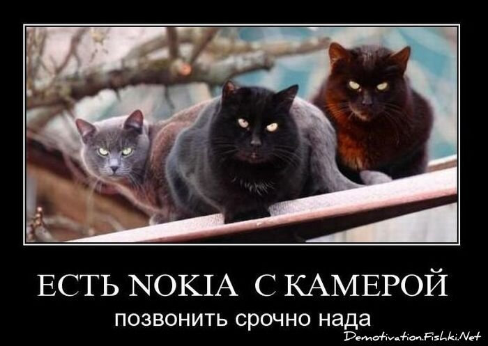 Смешной демотиватор от zubrilov за 17.11.2010 №61129
