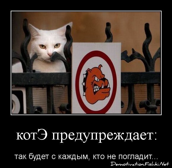 котЭ предупреждает: