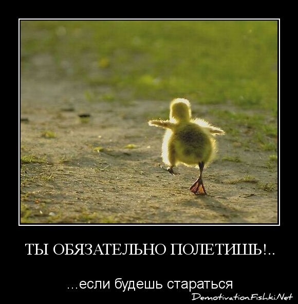 ты обязательно полетишь!..