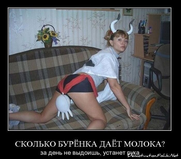 Смешной демотиватор от zubrilov за 19.11.2010 №61193