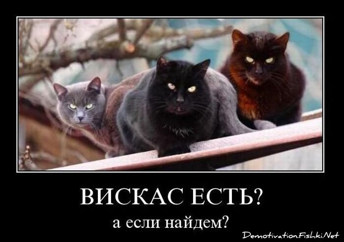 Смешной демотиватор от zubrilov за 19.11.2010 №61197