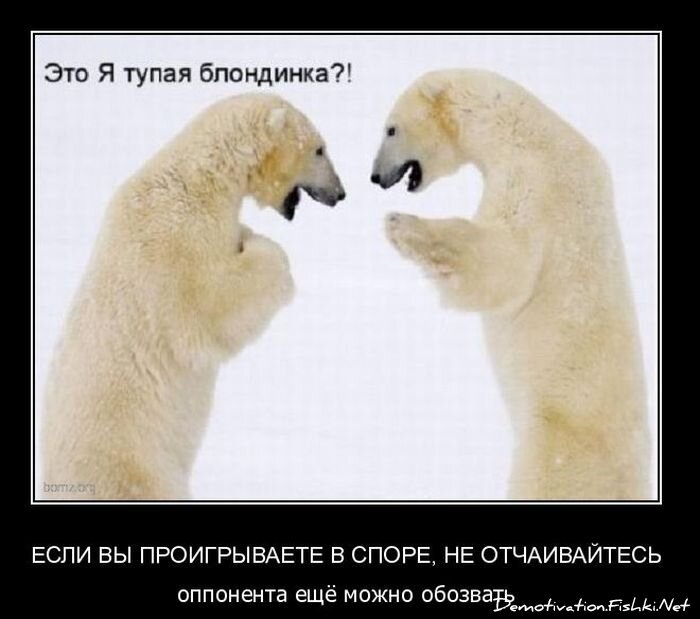 Смешной демотиватор от zubrilov за 19.11.2010 №61211