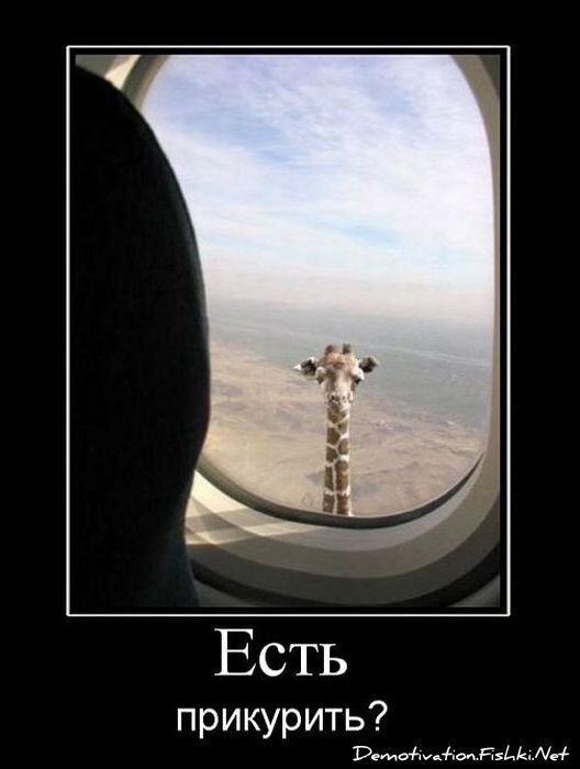 Смешной демотиватор от zubrilov за 19.11.2010 №61224