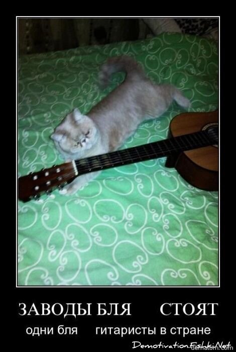 Смешной демотиватор от zubrilov за 19.11.2010 №61228