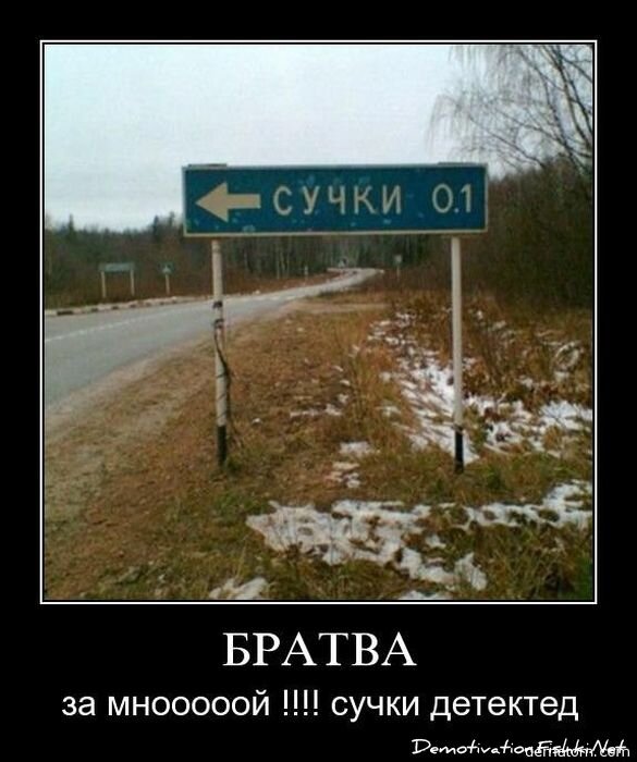 Смешной демотиватор от zubrilov за 19.11.2010 №61233