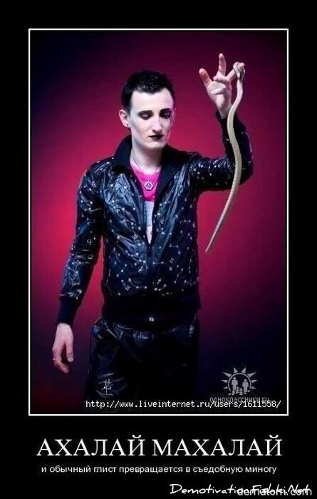 Смешной демотиватор от zubrilov за 19.11.2010 №61240