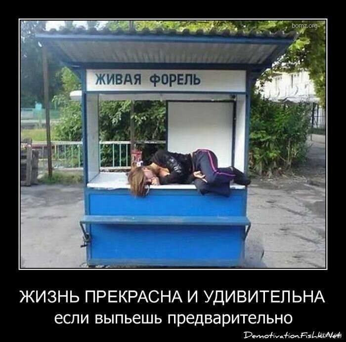 Смешной демотиватор от zubrilov за 19.11.2010 №61249