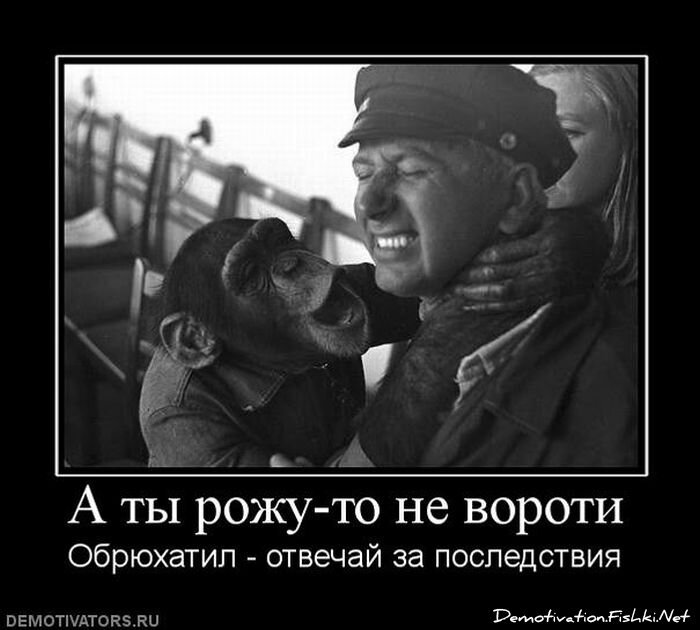 Смешной демотиватор от zubrilov за 19.11.2010 №61254