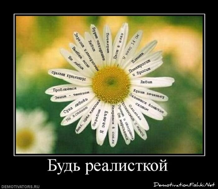 Смешной демотиватор от zubrilov за 19.11.2010 №61255