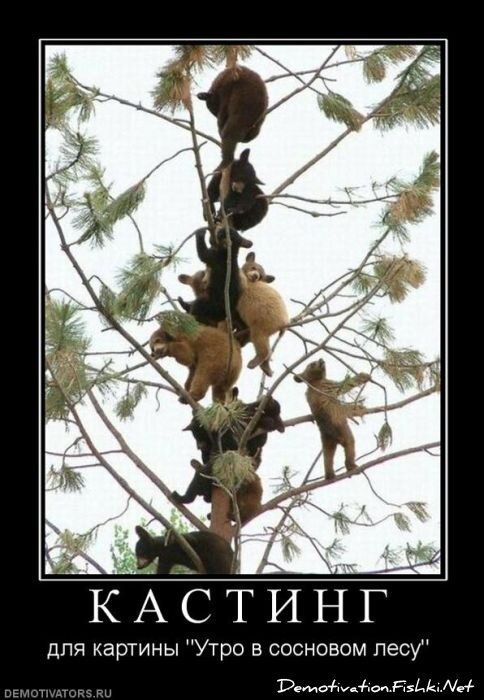 Смешной демотиватор от zubrilov за 19.11.2010 №61262