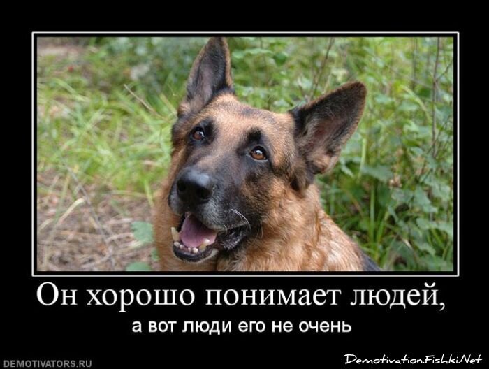 Смешной демотиватор от zubrilov за 19.11.2010 №61265