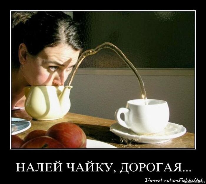 Смешной демотиватор от zubrilov за 19.11.2010 №61271